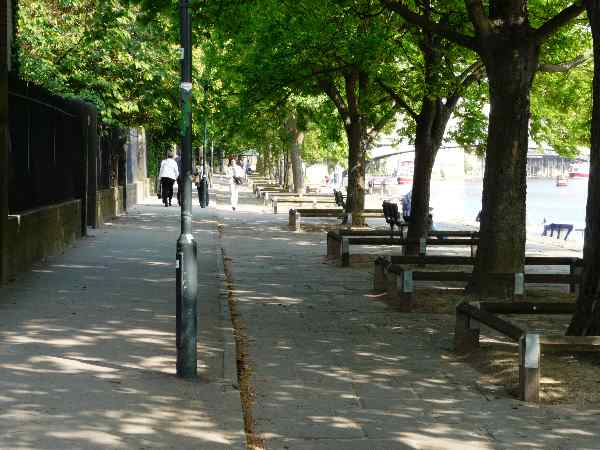 Looking south east (downstream) along the north bank of the River Ouse.